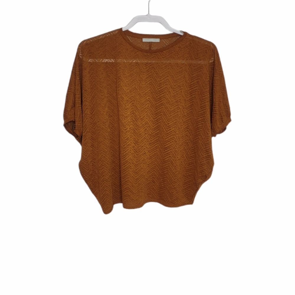 ZARA top rust orange burnout‎ chevron dolman sleeve oversized S